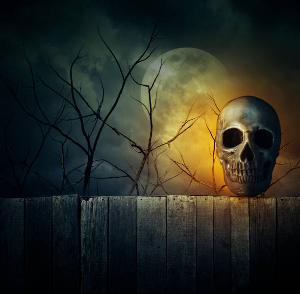 istock Human skull on old wood wall over dead tree, moon and cloudy sky, Halloween concept 817290242