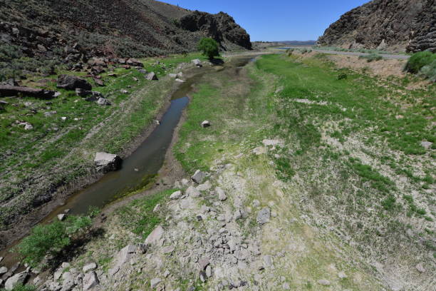 istock fertile valley in Echo Canyon in Nevada. 817290846