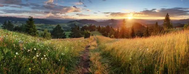 Photo of Beautiful summer panoramic landscape in mountains - Pieniny / Tatras, Slovakia