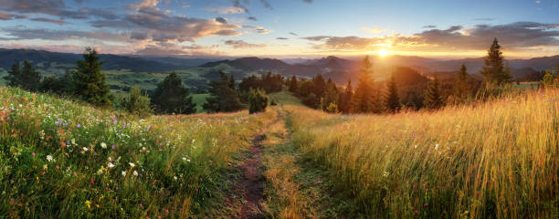 красивый летний панорамный пейзаж в горах - pieniny / tatras, словакия - sunset landscape стоковые фото и изображения