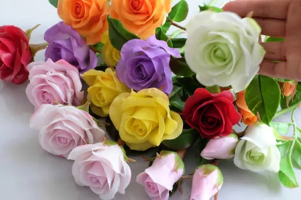 Wonderful clay art with colorful roses flower on white background, beautiful artificial flowers of craftsmanship with skillful