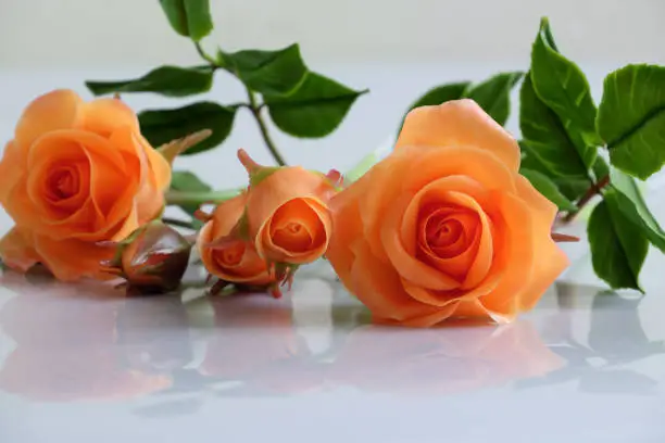 Wonderful clay art with orange roses flower relect on white background, beautiful artificial flowers of craftsmanship