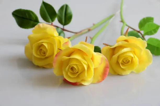 Wonderful clay art with yellow roses flower reflect on white background, beautiful artificial flowers of craftsmanship with skillful