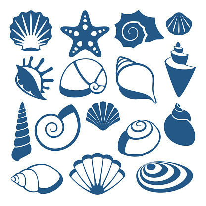 Sea shell vector silhouette icons. Sea shell spiral, illustration of sketch cockleshell