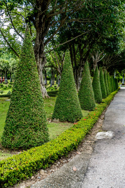 istock Road in the park 817310752