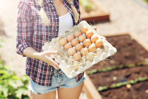 istock Young woman with fresh organic eggs 817310886