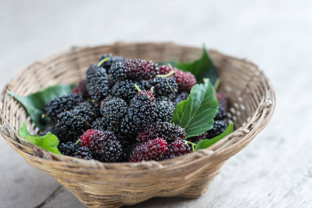 istock Fresh mulberry with leaf on basket. 817313752