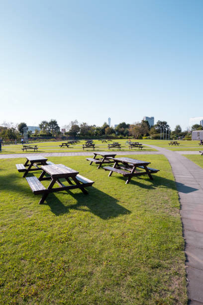 istock Afternoon in the park 817313964