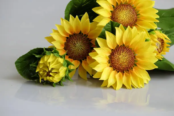Art and craft product from craftsmanship, yellow sunflower pot from clay art , beautiful handmade for decoration with nice artificial flowers