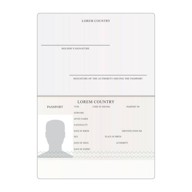 ilustrações de stock, clip art, desenhos animados e ícones de international passport vector. people identification document. business, travel concept - passport postage stamp india passport stamp