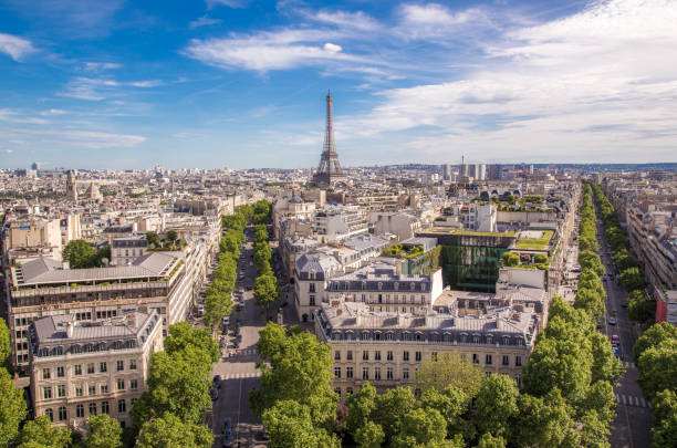 istock Summer view of Paris with Eiffel tower 817318918