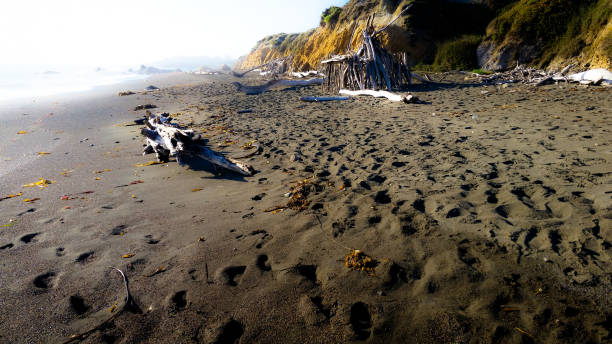 istock A walk along the sea shore 817327946