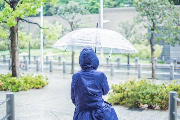 istock Woman in the rain 817328122