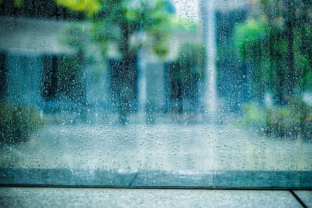 istock City in the rain 817328638