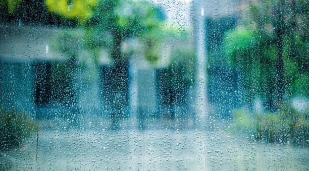 City in the rain