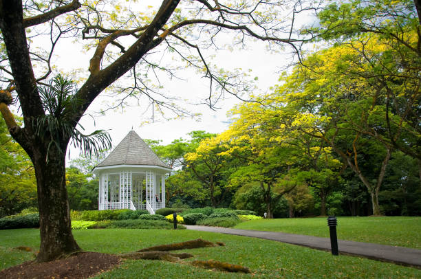 istock Singapore Botanic Garden 817331064