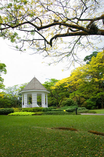 istock Singapore Botanic Garden 817331734