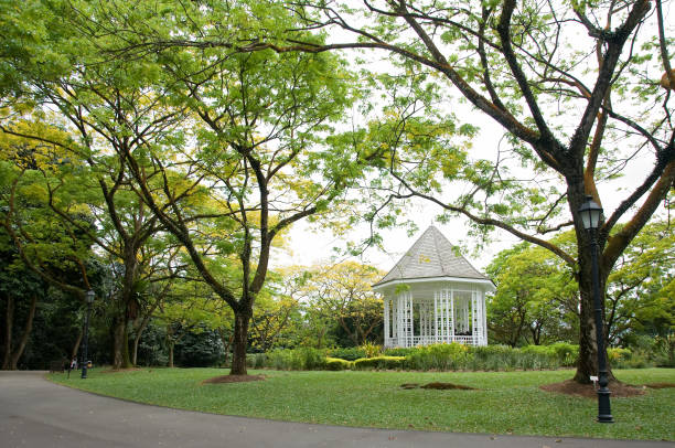 istock Singapore Botanic Garden 817334454