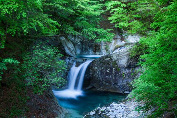 Taken at Nishizawa Keikoku Yamanashi Japan.