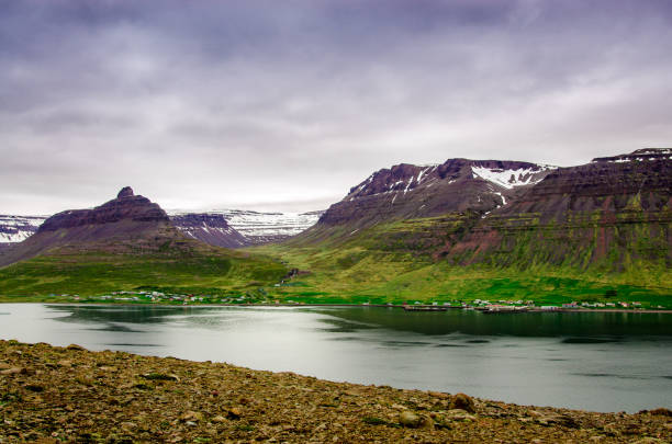 istock Contrast of nature 817342450