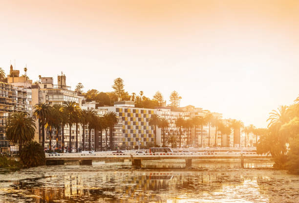 istock Estero Marga-Marga in Vina del Mar, Chile 817342716