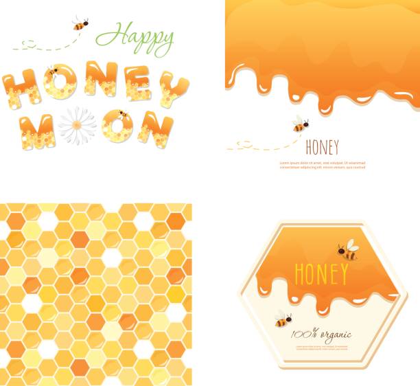 Honeycomb seamless pattern background, melted flowing honey, honeymoon letters and other design samples. Isolated on white. Honeycomb seamless pattern background, melted flowing honey, honeymoon letters and other design samples. Isolated on white. vector melting wax stock illustrations