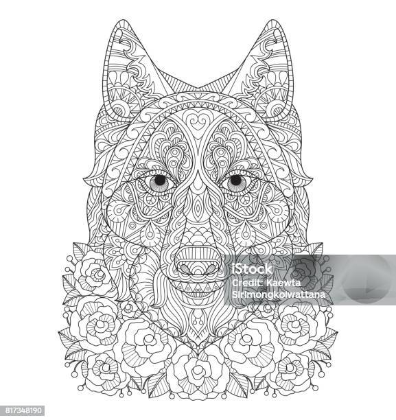 Hand Drawn Fox In The Rose Garden For Adult Coloring Page Stock Illustration - Download Image Now