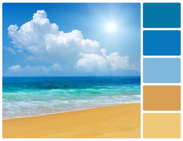 istock Beach with palette color swatches 817352598