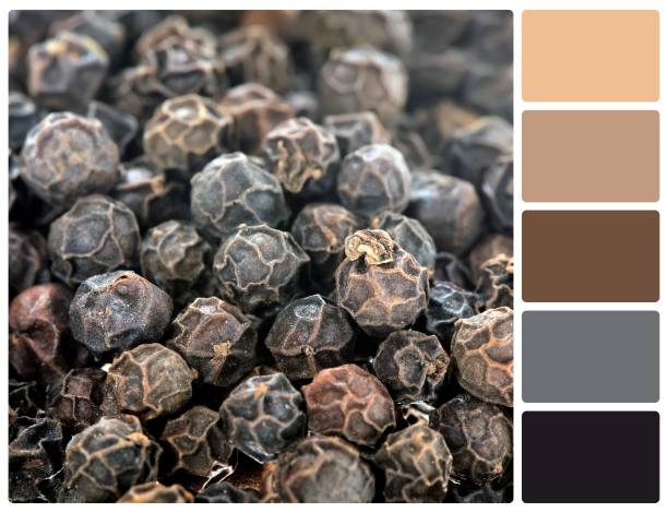 istock Pepper grain texture with palette color swatches 817352624