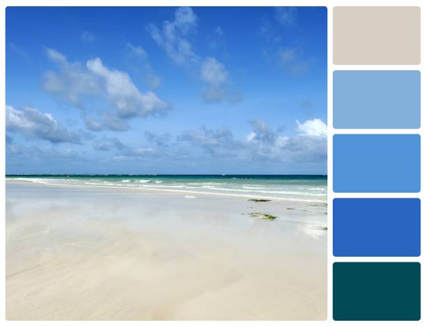 istock Beach with palette color swatches 817352628