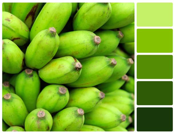 Green banana texture with palette color swatches