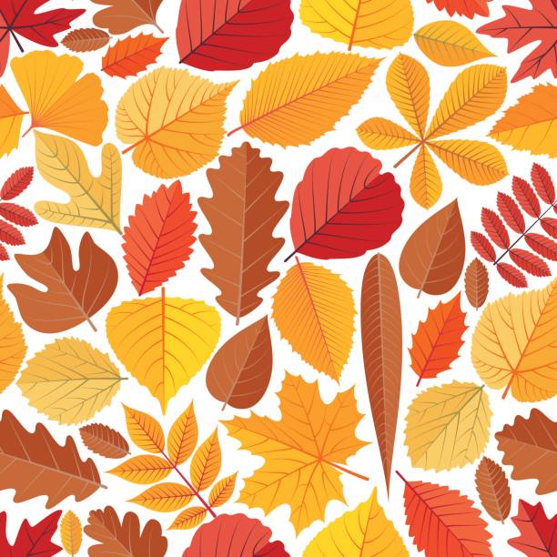 Seamless pattern with autumn tree leaves Seamless pattern with autumn tree leaves. Cartoon vector illustration. hawthorn maple stock illustrations