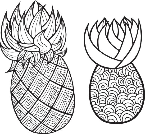 Pineapple and ananas coloring page. Graphic vector black and white art for coloring books for adults. Tropical and exotic fruit line illustration. Pineapple and ananas coloring page. Graphic vector black and white art for coloring books for adults. Tropical and exotic fruit line illustration. ananas stock illustrations