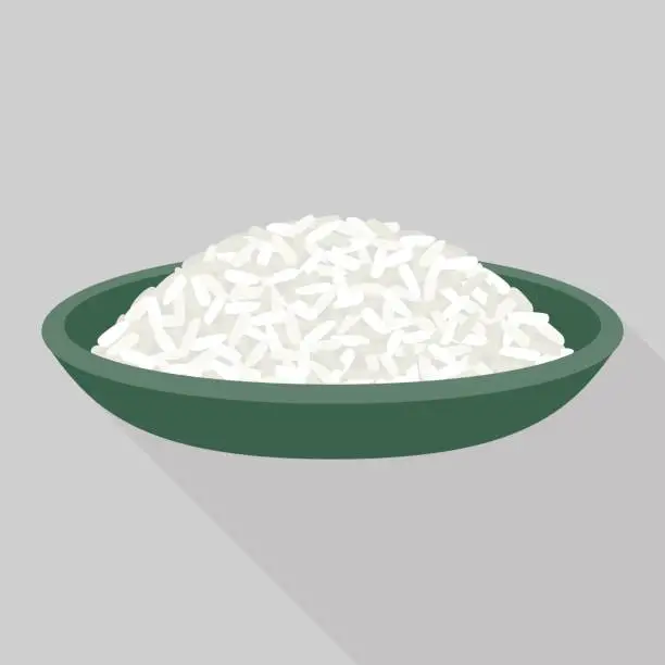 Vector illustration of rice in plate vector