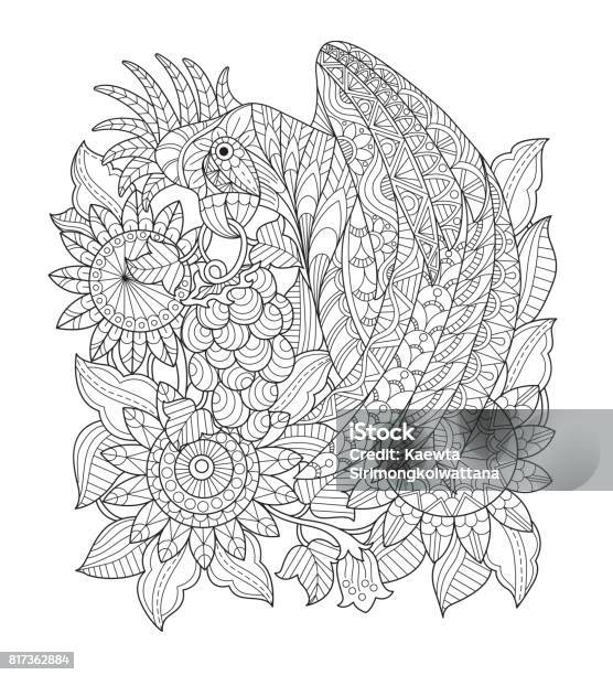 Hand Drawn Parrot In The Sunflower Garden For Adult Coloring Page Stock Illustration - Download Image Now