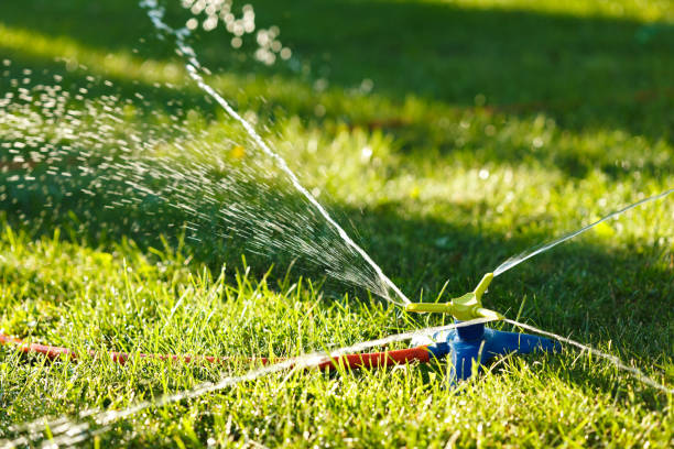 istock Irrigation of green grass 817367666