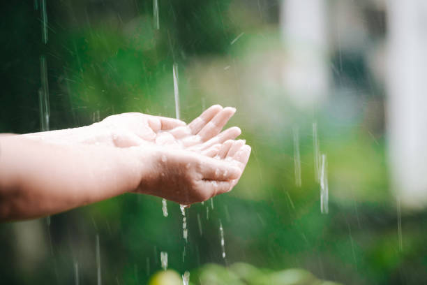 istock Woman catch rain with her hands 817383430