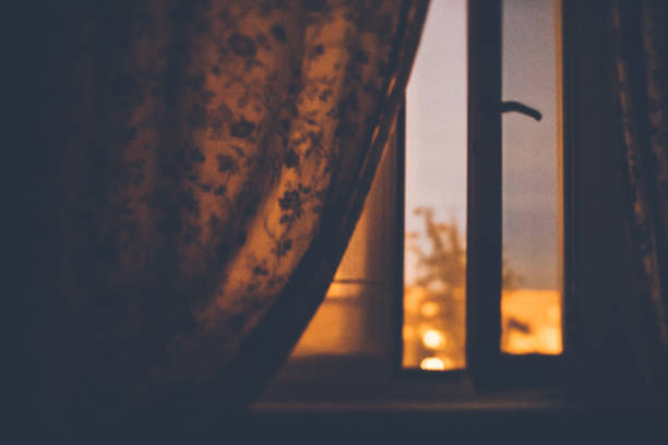 istock Full moon night by the window in summer 817398692