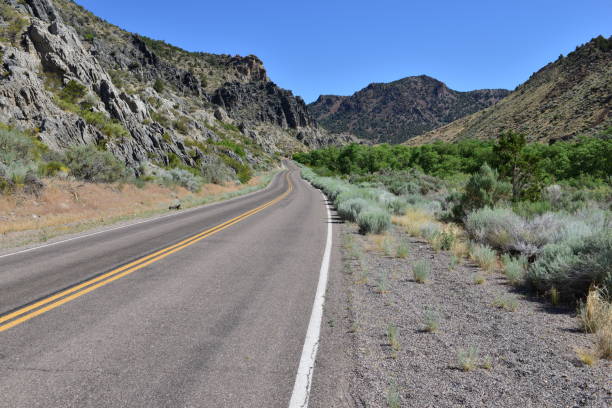 istock Spring Valley state park in Nevada in summertime. 817401226