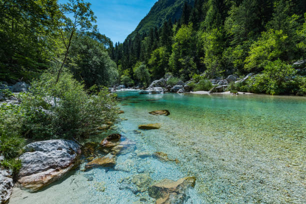 istock Soca river in Triglav National Park, Slovenia 817405258