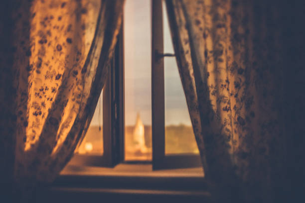 istock Full moon night by the window in summer 817406154