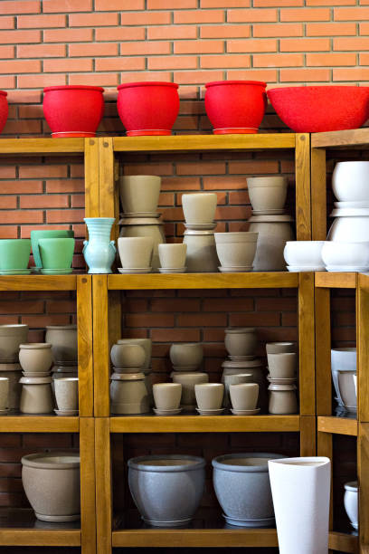 istock Shelf in the store with flower pots 817408986