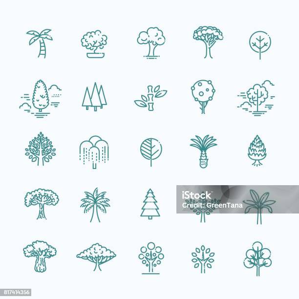 Satz Von Baumform Linie Vektoricons Stock Vektor Art und mehr Bilder von Icon - Icon, Palme, Baum