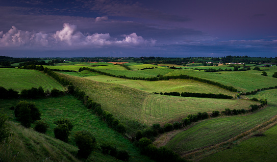 In the Blue Hour of that sunrise, a lovely specific light showed up on the fields, Dundalk, County Louth, Ireland