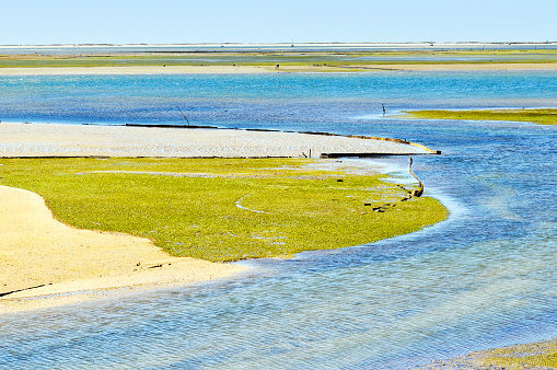 The Ria Formosa Natural Park is a labyrinth of canals, islands, marshland, sandy beaches and barrier islands stretching  60 km along the Algarve coast between the beaches of Garrão and Manta Rota.