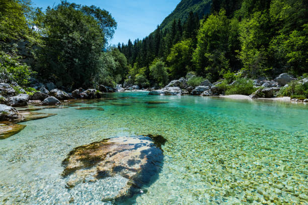 istock Crystal clear water in Soca river, SLovenia 817425910