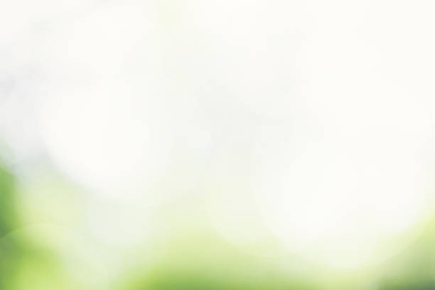 istock Abstract blurred natural background, Spring or summer season 817434474