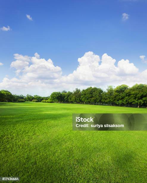 Foto de Paisagem De Campo De Grama E Ambiente Verde Parque Público Uso Como Pano De Fundo Natural Pano De Fundo e mais fotos de stock de Parque público