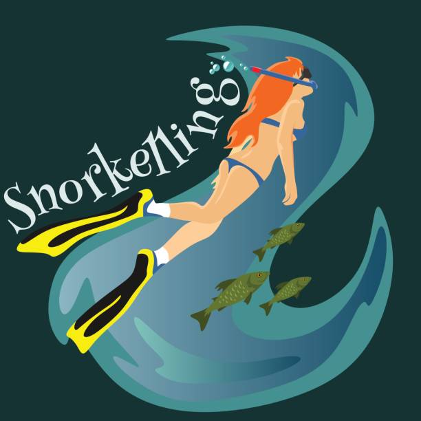 556 Girl Snorkel Illustrations & Clip Art - iStock | Woman snorkel, Paris,  Astronaut