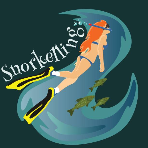556 Girl Snorkel Illustrations & Clip Art - iStock | Woman snorkel, Paris, Astronaut 556 Girl Snorkel Illustrations & Clip Art - iStock | Woman snorkel, Paris, Astronaut